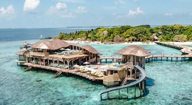 Gestire una libreria a piedi nudi su un atollo delle Maldive: ecco come candidarsi per il lavoro dei sogni