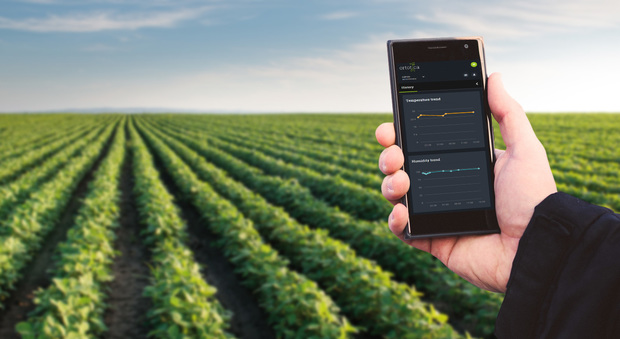 Satelliti, app e gps anti sprechi così fiorisce la web agricoltura