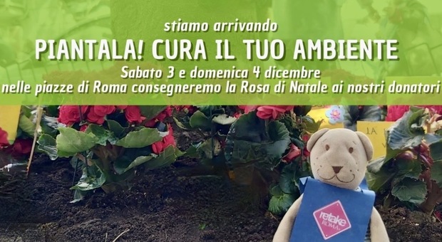 Retake Scuole, le rose di Natale arrivano nelle piazze di Roma con "Piantala! Cura il tua ambiente"