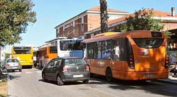 Alcuni bus di linea a San Benedetto