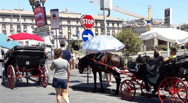 Carrozze trainate da cavalli a Napoli sotto il sole, intervengono i vigili