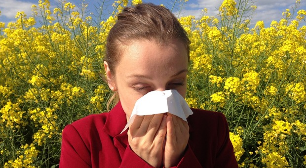 Allergie, la pillola con polvere di fattoria può aiutare a prevenirle nei bimbi: lo studio