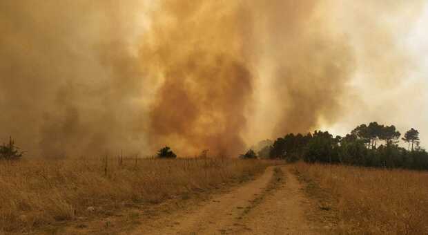 L'alta Murgia brucia ancora: nuovo incendio nei pressi delle cave di bauxite. Le fiamme si diriggono verso il bosco