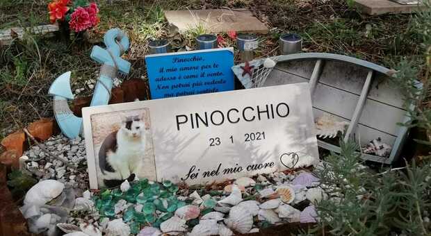 L'amore per gli animali è eterno, già oltre 200 tombe al Parco di Snoopy fra i Sibillini di Amandola