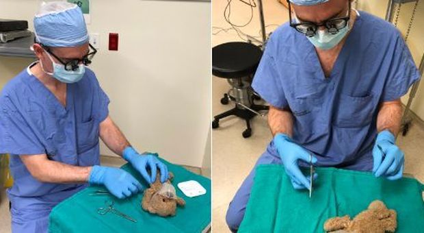 «Puoi operare il mio orsacchiotto prima di me?», chirurgo interviene sul peluche del suo piccolo paziente