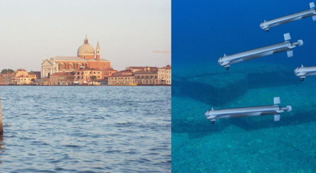 Pesci-drone per controllare i fondali: il futuro nuota in laguna a Venezia