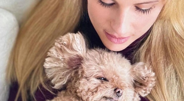 Michelle Hunziker e il commovente addio alla sua cagnolina Lilly: «Per sempre nel mio cuore»