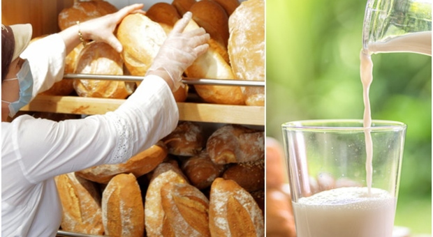 Pane, latte e verdure, ecco il caro spesa: 1.500 euro a famiglia