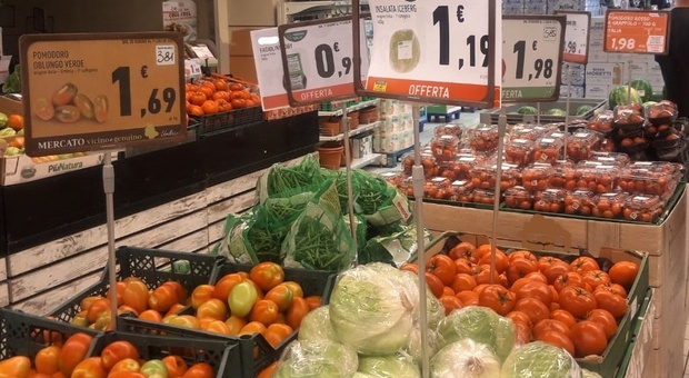 Siccità e caro energia, cosa succede ora? Scordamaglia (Filiera Italia): «Nessun calo dei prezzi sugli scaffali dei supermercati»