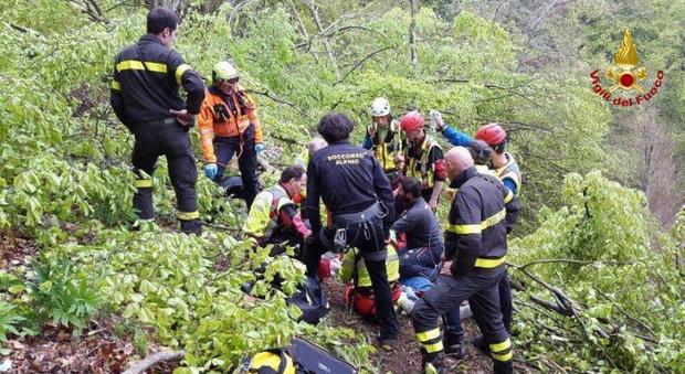 Gli cade un albero sulla schiena mentre lavora nei boschi: morto 74enne