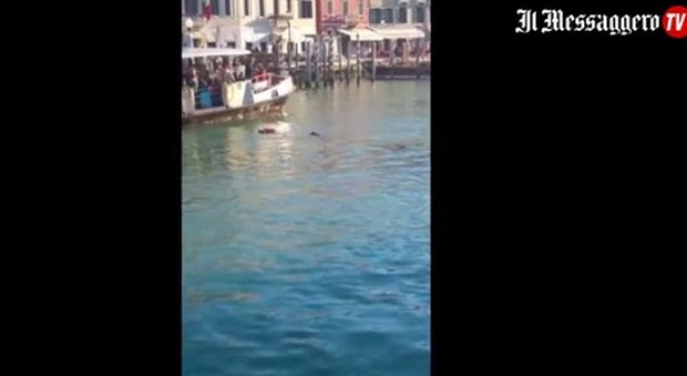 Venezia, profugo suicida nel Canal Grande, il Comune pagherà il funerale
