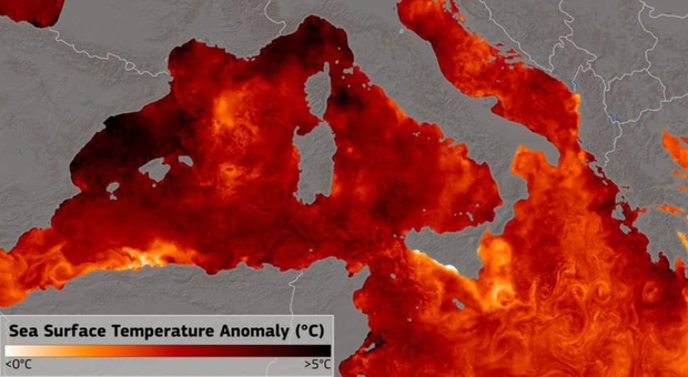Mediterraneo bollente, l'Enea: «+4°C sopra la media stagionale». Ecco perché è una pessima notizia