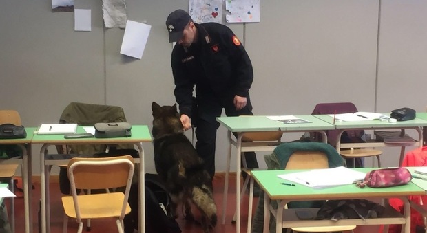 Droga a scuola: controlli dei Carabinieri tra i banchi di una classe