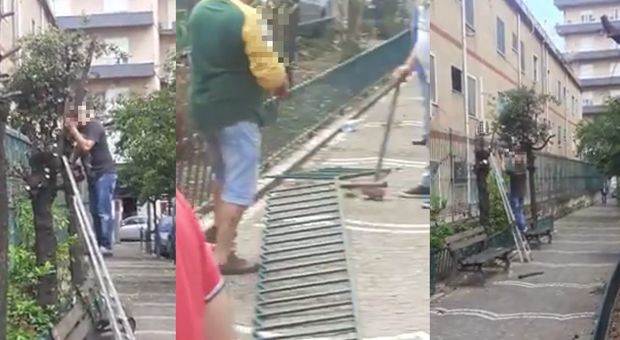 Giardinieri senza mascherine, a Napoli Est i cittadini potano gli alberi