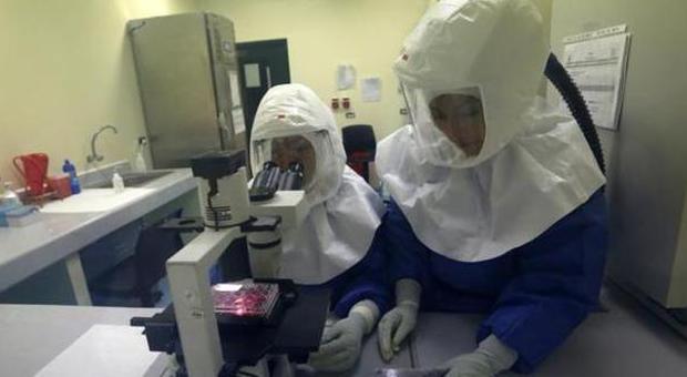 Ebola, allarme a Padova: due pazienti in isolamento
