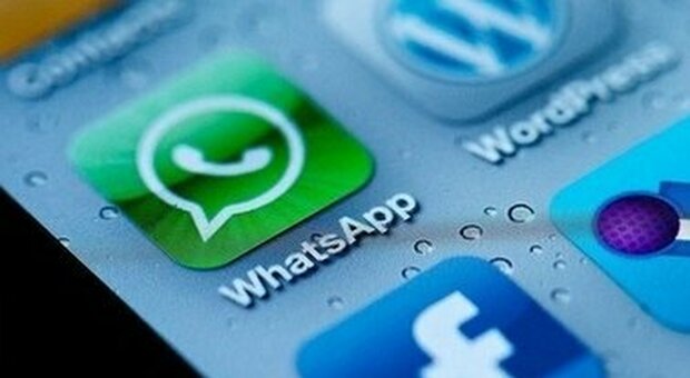 WhatsApp, da oggi le nuove regole per la privacy: ecco cosa accade se non si aggiorna l'app