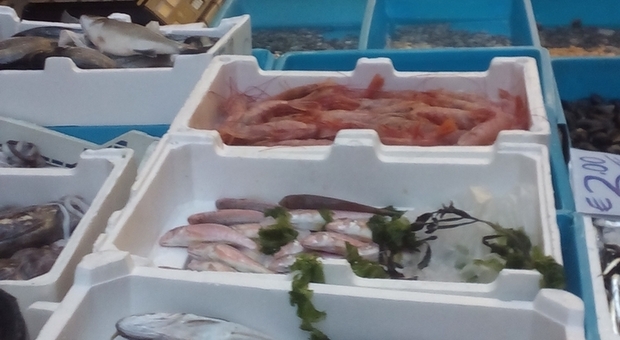 In Campania la Guardia costiera sequestra due tonnellate di prodotti nei mercati ittici