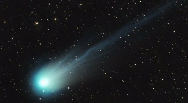 La cometa 'cornuta' in arrivo a Pasqua: sarà visibile a occhio nudo (dopo 70 anni). «Prossima volta nel 2095»