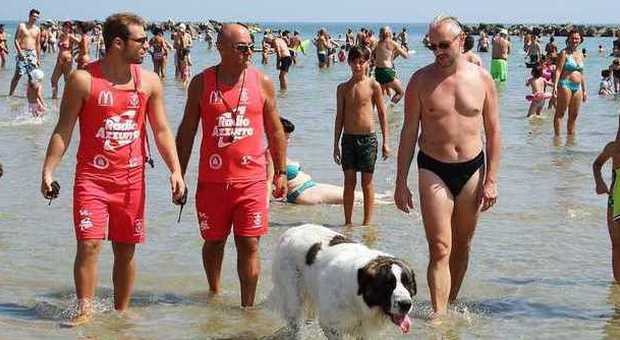 San Benedetto, cane smarrito in spiaggia soccorso dai bagnini
