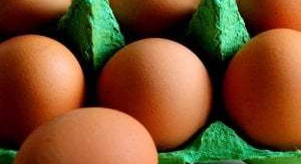 Uova contaminate, colpite anche pasta e patate
