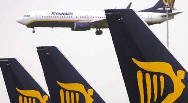 Ryanair, atterraggio d'emergenza per volo ​Lamezia-Roma: colpito da stormo di uccelli
