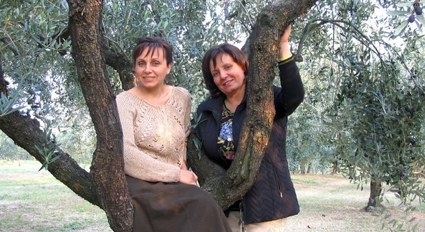 Amore per le olive e passione per la terra: Gabrielloni, olio da primato