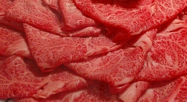 Vegan, da Osaka la svolta della carne sintentica: arriva il primo filetto di Kobe fatto con la stampante 3D