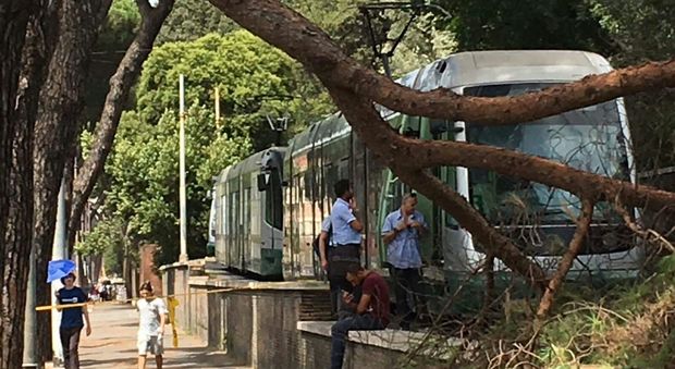 Grosso ramo trancia i cavi del tram che passa dietro al Colosseo: paura tra i passeggeri della linea 3