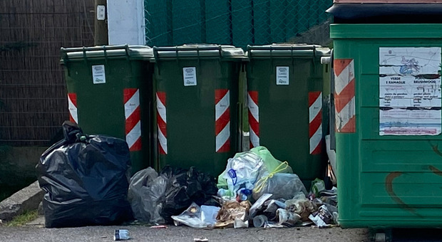 Cumuli di rifiuti in via Udine a Pordenone