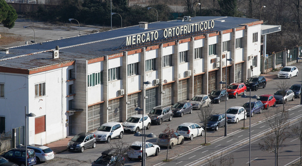 L'area dell'ex mercato ortofrutticolo in via Torino a Mestre