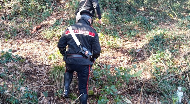 Terni, l'anno nero dello spaccio: i carabinieri recuperano12 chili di droga
