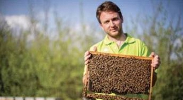L'apicoltore Carlo Ielardi