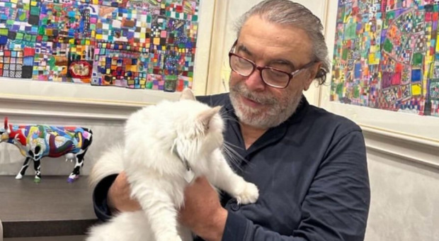 Nino Frassica e il gatto scomparso. L’attore ritira la ricompensa: «Non è stato rubato da nessuno perché »
