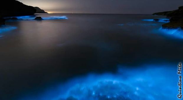 Lo spettacolo del mare scintillante in Salento: ecco da cosa dipende