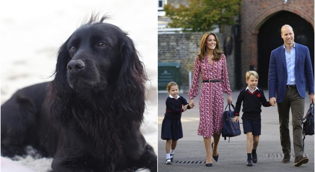 Kate e William, morto il cane di famiglia Lupo: il dolore della famiglia reale su Instagram