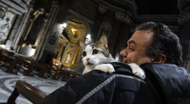L'ultima moda: gli animali in chiesa per farli benedire