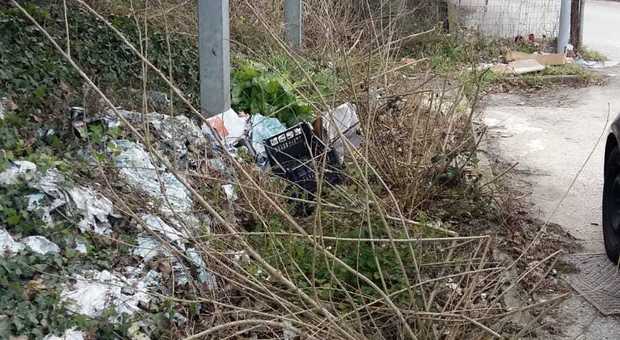 Grancetta, gli abitanti esasperati da rifiuti e immondizia: la zona vicino al casello di Ancona Nord nel completo abbandono