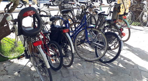 Senigallia, ladri di biciclette scatenati: razziati nei garage tre bolidi da corsa