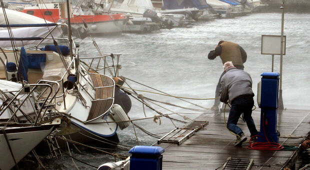 Bora forte a Trieste e sul Carso: raffiche fino a 86 km/h. Barca in balìa di vento e onde: il salvataggio