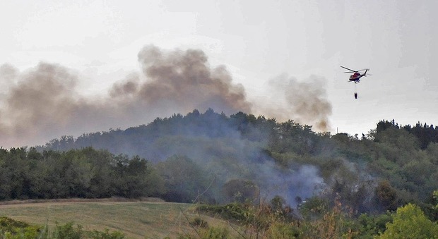 Furioso incendio nel Parco San Bartolo Nube nera visibile anche da chilometri