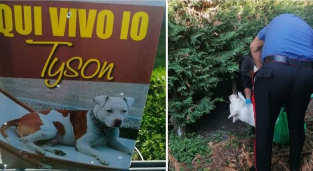 Il cartello impallinato e i carabinieri mentre recuperano il cane ucciso dal cacciatore. (Immag diffuse su fb da Commissione Tutela Diritti Animali Rovigo)