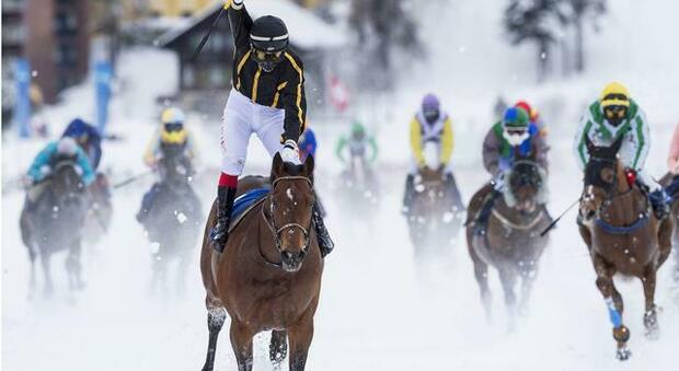 Riscaldamento climatico, a rischio anche il White Turf, la gara di cavalli sul lago ghiacciato di San Moritz