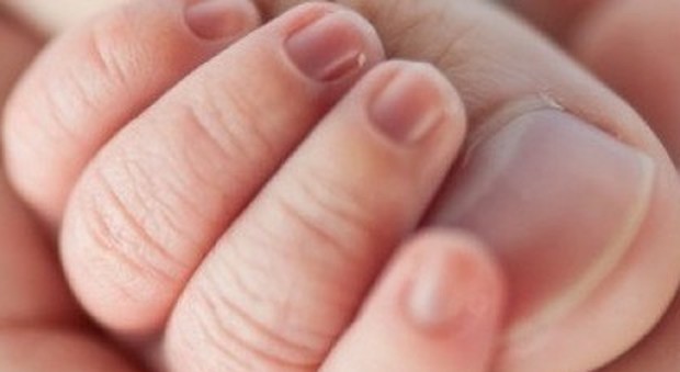 Sopravvivenza record nell'utero artificiale: è di 28 giorni, speranze per i nati prematuri