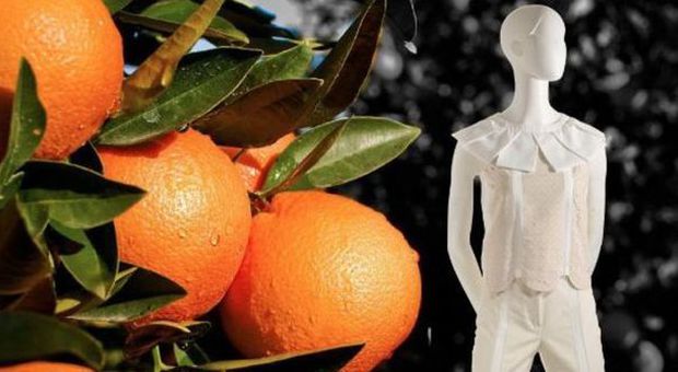 Nasce l'abito con gli scarti di arance: "È vitaminico e tonificante"