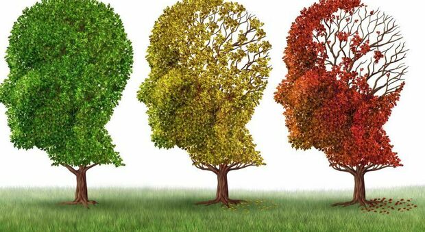 Alzheimer, il neurologo Fabrizio Piras: «Ci sono fattori di rischio non modificabili»