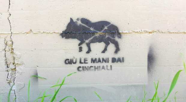 Stencil a difesa dei cinghiali nelle vicinanze del parco dell'Inviolatella Borghese
