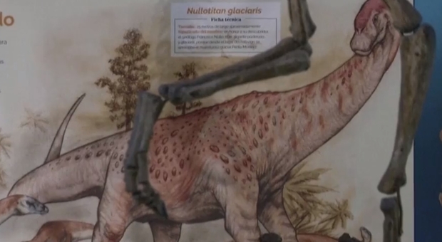 Ecuador, scoperti resti di specie di dinosauto erbivoro