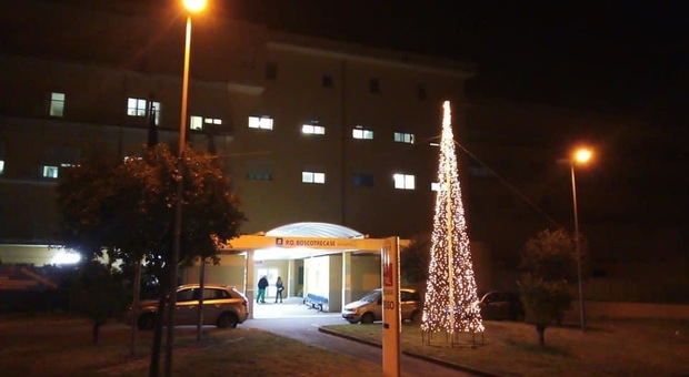 Boscotrecase, il Covid Hospital si illumina si speranza con l'albero di Natale