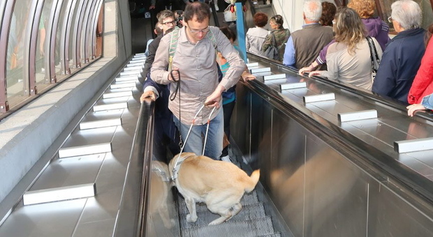 La protesta contro la decisione di proibire i cani ai non vedenti sulle scale mobili di Lambioi