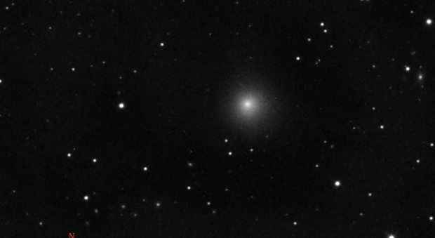 Arriva la cometa del 1° aprile: non è uno scherzo, ecco come vederla